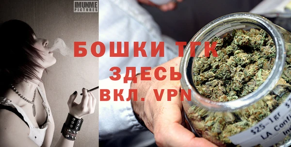 молекула духа Белоозёрский