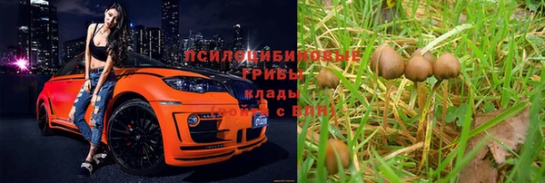 MDMA Premium VHQ Белокуриха