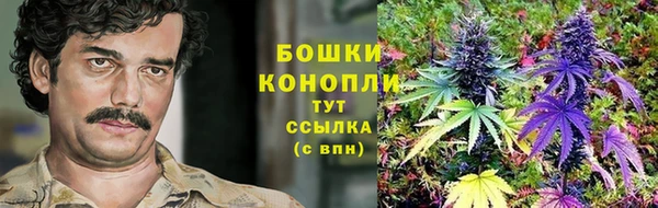 молекула духа Белоозёрский