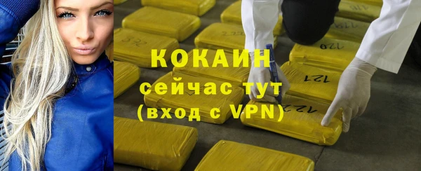 молекула духа Белоозёрский